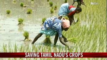 Saving Tamil Nadu's crops