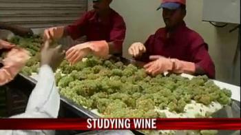 Studying wine in India