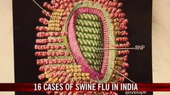 Video : Swine flu scare in India