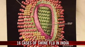 Swine flu scare in India