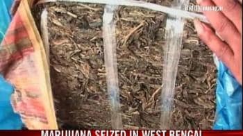 Video : Marijuana seized in West Bengal