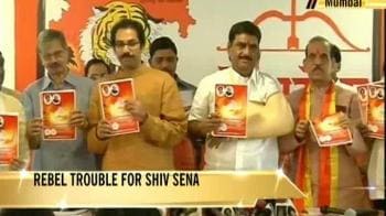 Video : Shiv Sena-BJP: The rebel factor