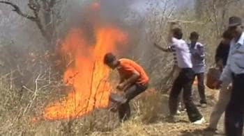 Fire rages for 2nd day at Rajaji National Park