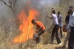 Fire rages for 2nd day at Rajaji National Park Fire rages for 2nd day at Rajaji National Park