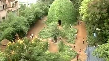 Going green this Navratra