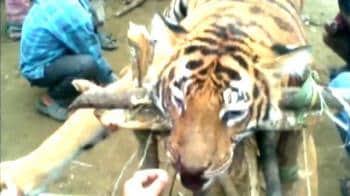 Assam: Poachers caught on camera