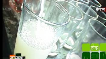 ज़ायका टॉडी का...