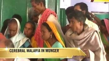 Video : Cerebral malaria in Munger, 30 dead