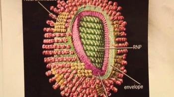 The Indian virus hunters