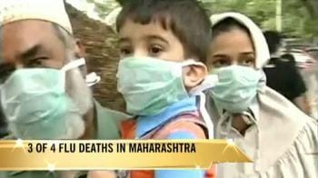 Video : Maharashtra in crisis mode after swine flu spread