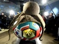 Video : Paul the Octopus immortalised in soccer avatar