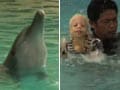 Video : Dolphins with 1000 patients