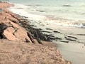 Video: Saving Goa's coastline