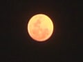 Video: Super "perigee moon"