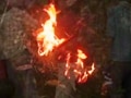 तेंदुए को जिंदा जलाकर मार डाला