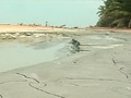 Video: Acid destroying Kerala's beach