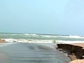 Video: Saving India's beaches