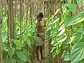 Video: POSCO site: Tribals trying to prove their existence