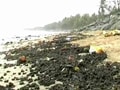 Video : Oil spill damage: Who should pay?