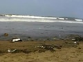 Video : Mumbai oil spill: Is the damage-control too little, too late?